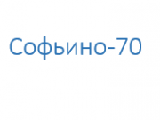 Почта софьино. Зао софьино. жк остров эрин логотип. маэстро софьино.